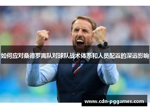 如何应对桑德罗离队对球队战术体系和人员配置的深远影响