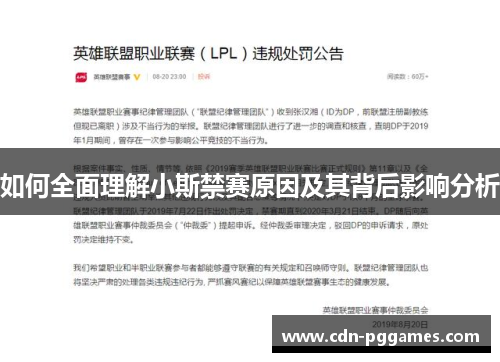 如何全面理解小斯禁赛原因及其背后影响分析