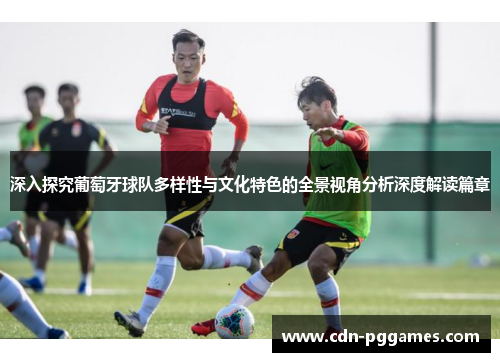 深入探究葡萄牙球队多样性与文化特色的全景视角分析深度解读篇章